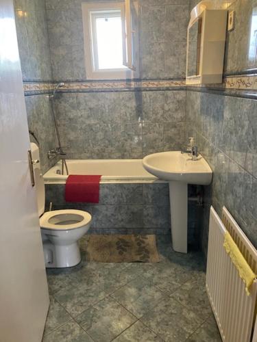 a bathroom with a toilet and a sink at Fanni Aparmanház in Miskolc