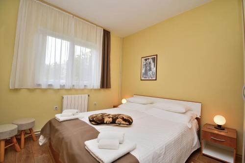 Apartments with parking space Porec - 16495