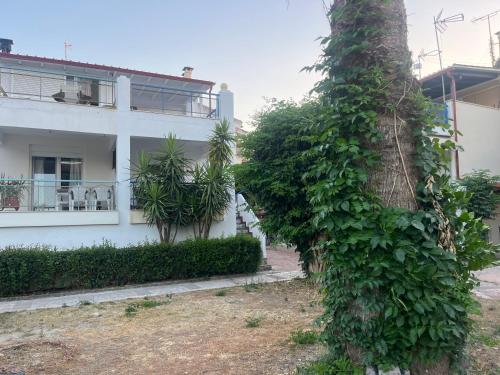 Pefkoxori Maisonette 250m from the sea with garden and parking