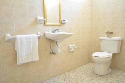 ein Badezimmer mit einem WC, einem Waschbecken und einem Spiegel in der Unterkunft Hotel San Carlos in Irapuato