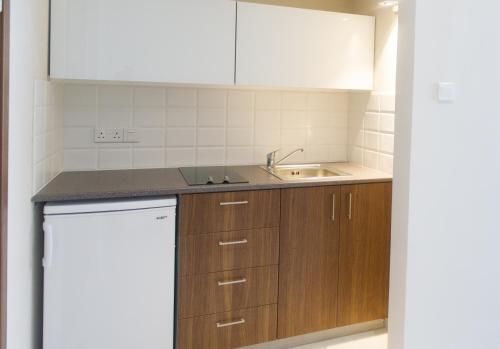 Kuchyň nebo kuchyňský kout v ubytování Manolia City Residences