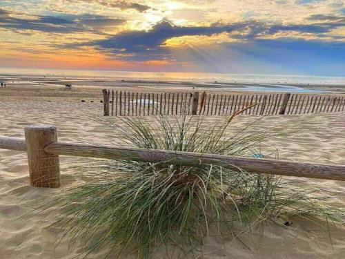 a wooden fence on the beach with a plant at Charming Chalet with Swimming Pool in Quend in Quend