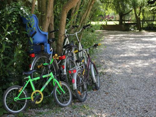 a group of bikes parked next to a tree at Charming Chalet with Swimming Pool in Quend in Quend