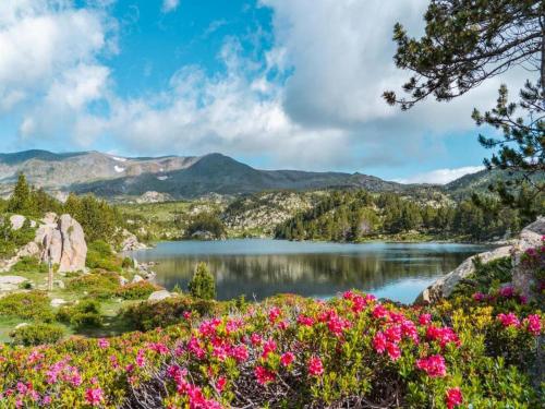 a view of a lake with flowers at Holiday Home in Quillan near Pyrenees in Quillan