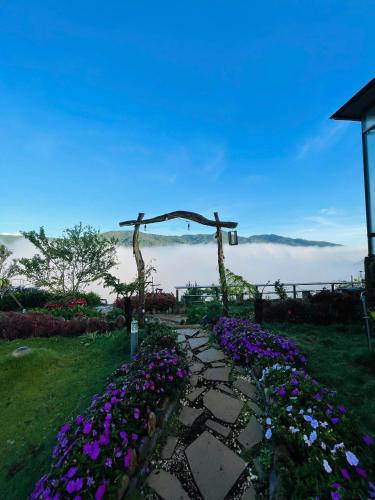 a garden with purple flowers and a stone pathway at Săn Mây Homestay and Coffee Măng Đen in Kon Tum