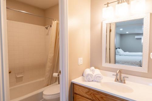 a bathroom with a sink and a toilet and a mirror at Road Creek Inn in Loa