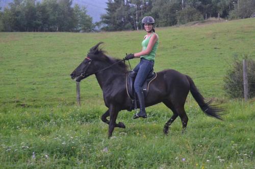 a woman riding a black horse in a field at Biobauernhof Tonimörtl in Mariapfarr