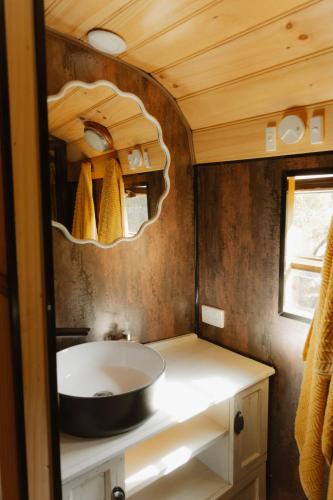 a bathroom with a sink and a mirror at R&R Bus Retreat in Wellington Mills