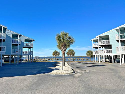 a palm tree in a parking lot in front of a building at Bayview in Orange Beach