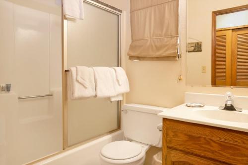 a bathroom with a toilet and a sink and a shower at Brown bears cabin #1091 in Big Bear Lake