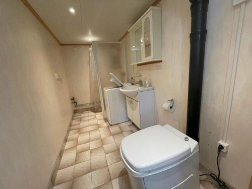 a small bathroom with a toilet and a sink at Peaceful Cabin near Furufjall Trail in Spekeröd