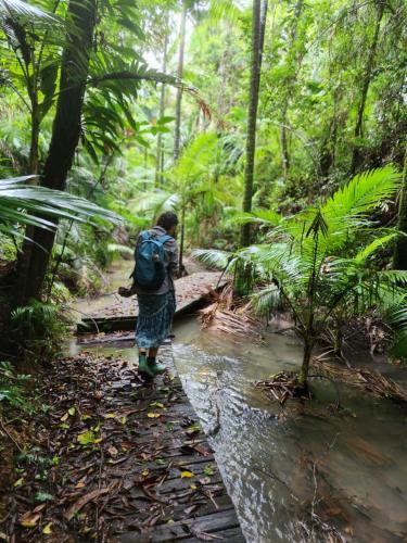 a person walking on a trail in the jungle at Daintree Siesta in Diwan