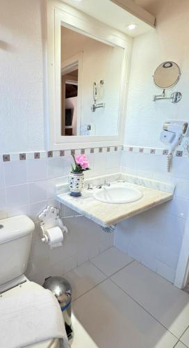 a bathroom with a sink and a mirror and a toilet at Villa Baobá Pousada & Spa in Búzios