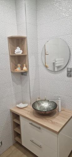 een badkamer met een wastafel en een spiegel bij Rozmaring Apartman Csopak in Csopak