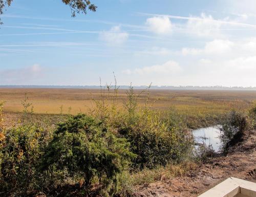 a view of a field from a dirt road at Sea Palms Resort St Simons Island in Saint Simons Island