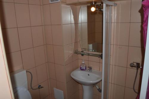 a small bathroom with a sink and a shower at Pensiunea Argus in Băile Herculane