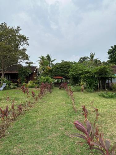 a yard with a house in the background with plants at Melaya Cabanas in Candikesuma