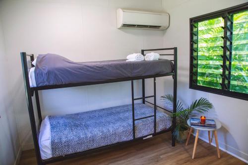 a room with two bunk beds and a plant at Mt Bundy Station in Adelaide River