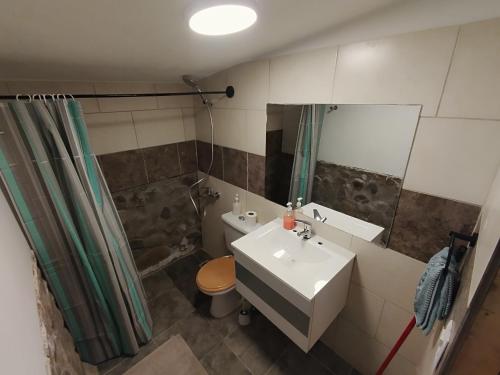 ein Badezimmer mit Waschbecken, Toilette und Spiegel in der Unterkunft Refugio Los Molles hostal in Las Lenas