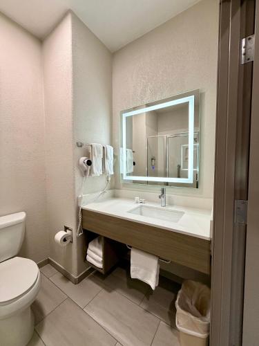 a bathroom with a sink and a toilet and a mirror at Holiday Inn Express & Suites San Antonio South by IHG in San Antonio