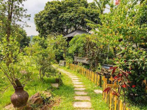 a path in a garden with a vase next to a fence at Phúc Hưng Homestay- Venuestay in Ba Vì