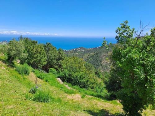 a hillside with trees and the ocean in the background at Apartment in Liguria near Toirano Caves in Vezzi Portio