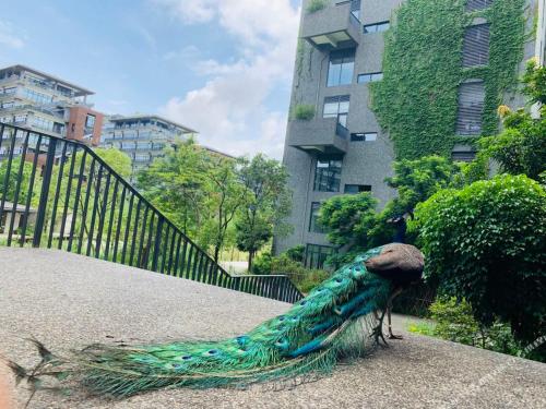 Fotografie z fotogalerie ubytování Taihua Wutong Hotel v destinaci Bao'an