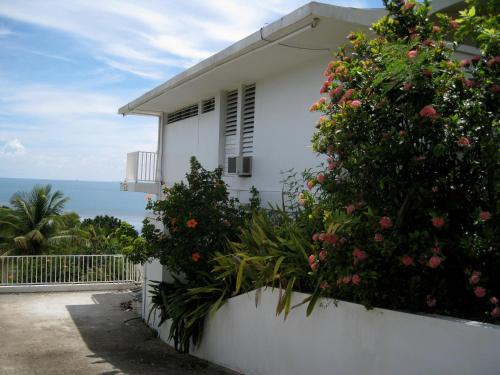 une maison blanche avec des fleurs sur son côté dans l'établissement A Seascape Guest Room, à Fajardo