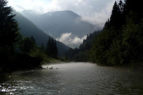 people are swimming in a river in the mountains at Guesthouse S in Luče