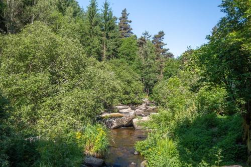 a river in a forest with rocks and trees at Gîte Le Moulin du Chambon 6/8 pers in Les Bessons