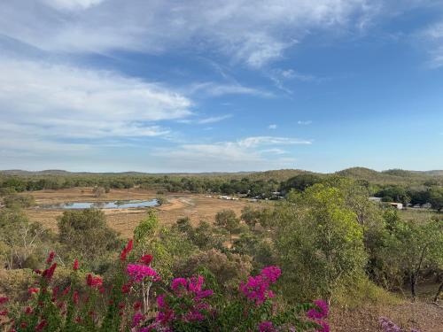 a view of a field with a river and flowers at Mt Bundy Station in Adelaide River