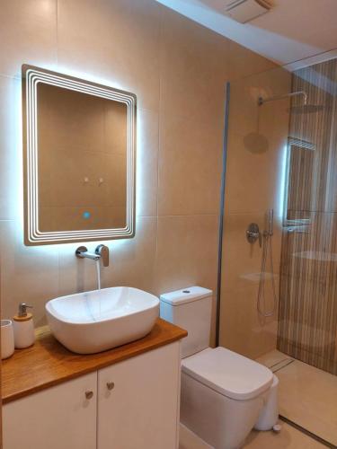 a bathroom with a sink and a toilet and a shower at Villa Eleni Apartment no3 in Agios Gordios