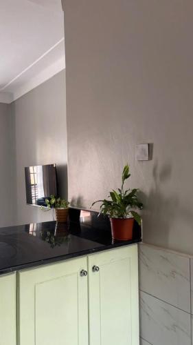a kitchen with white cabinets and potted plants on the counter at Comfy Urban Haven in Nalakonge