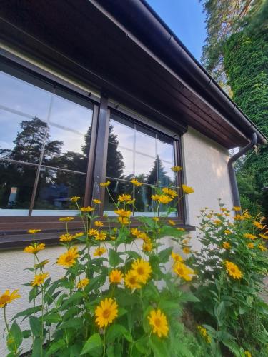a bunch of yellow flowers in front of a window at DAS kleine Haus in Wandlitz