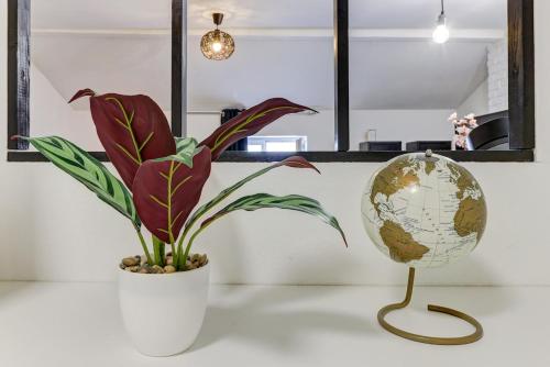 a plant in a white vase next to a globe at Le nid douillet - Centre Ville - 3 étoiles in Bourg-en-Bresse