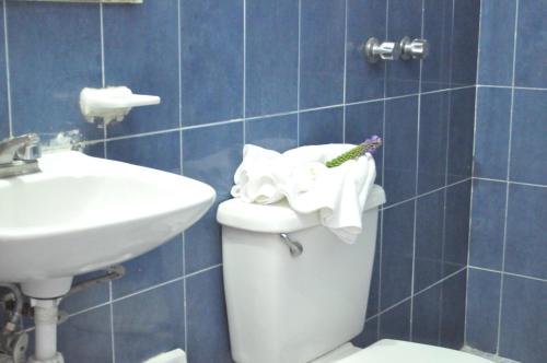 a bathroom with a toilet and a sink and towels at Hotel Viena in Irapuato