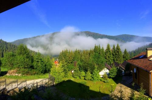a view of a mountain with clouds in the trees at Villa Alpiyka in Slavske