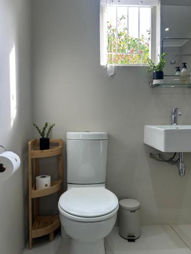 a bathroom with a white toilet and a sink at The Blossom Room in Robertson