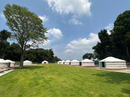 a row of white tents in a field with a tree at モンゴリアンテーマパークジャパン in Kamigō
