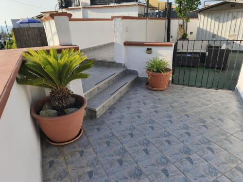 Φωτογραφία από το άλμπουμ του Casa Verde Natura e Relax σε Forio d'Ischia