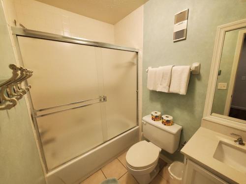 a bathroom with a shower and a toilet and a sink at Summerhouse 433 in Saint Augustine