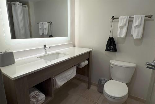 Ванная комната в Wingate by Wyndham State Arena Raleigh/Cary Hotel