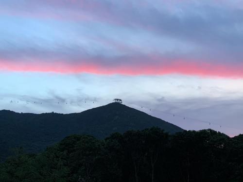 a mountain with a bunch of birds on top of it at City Oasis Guesthouse in Hong Kong