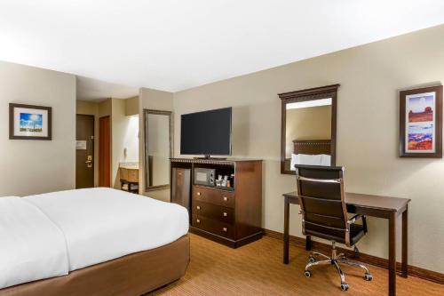 TV a/nebo společenská místnost v ubytování Comfort Inn Phoenix Central City