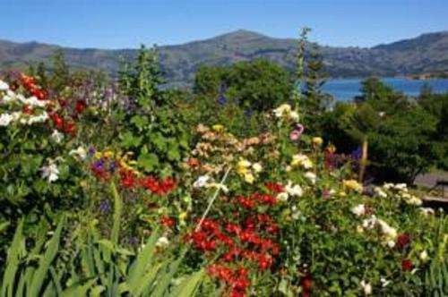 a garden filled with lots of different colored flowers at L'abri Bed and Breakfast in Akaroa