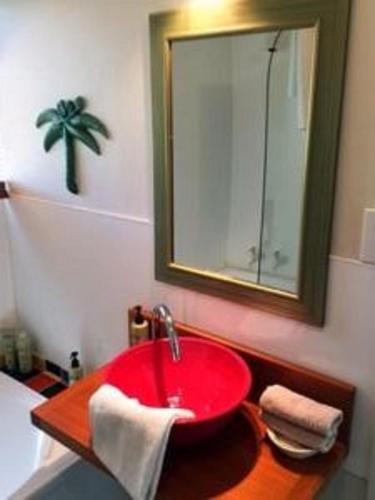 a bathroom with a red sink and a mirror at L'abri Bed and Breakfast in Akaroa