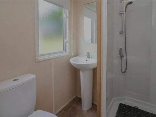 a bathroom with a toilet and a sink and a window at Caravan 3 - Blackmoor farm near Tenby in Ludchurch