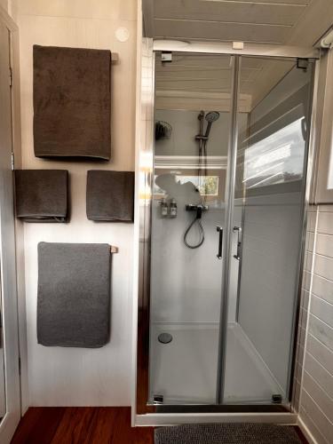 a shower in a bathroom with a glass shower stall at AtterseeSuite in Unterach am Attersee