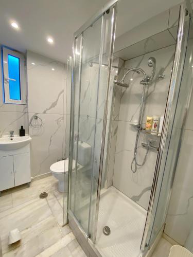 a bathroom with a shower and a toilet at Versailles One Garden Villa Full Floor Suite in Koropi