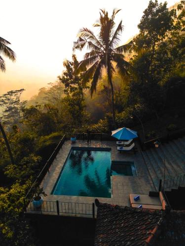 an overhead view of a swimming pool with palm trees at Villa Borobudur Resort in Borobudur